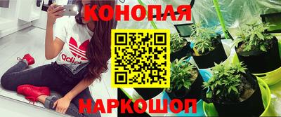 молекула духа Бийск