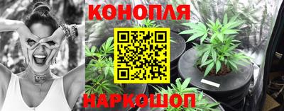 молекула духа Бийск
