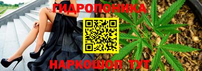 амф Берёзовский