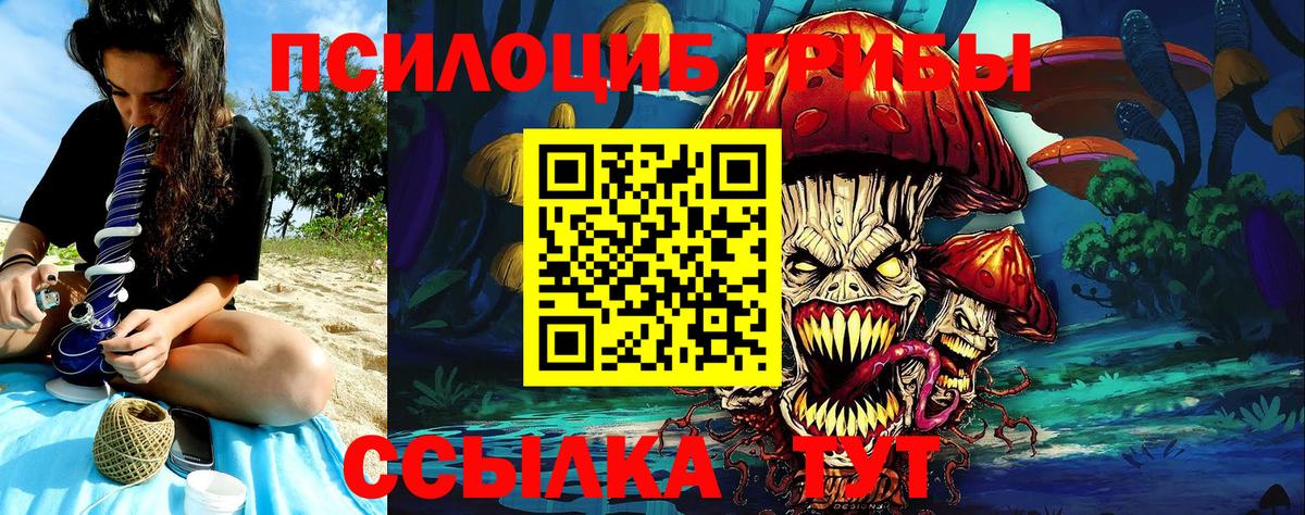 Псилоцибиновые грибы GOLDEN TEACHER Губкин