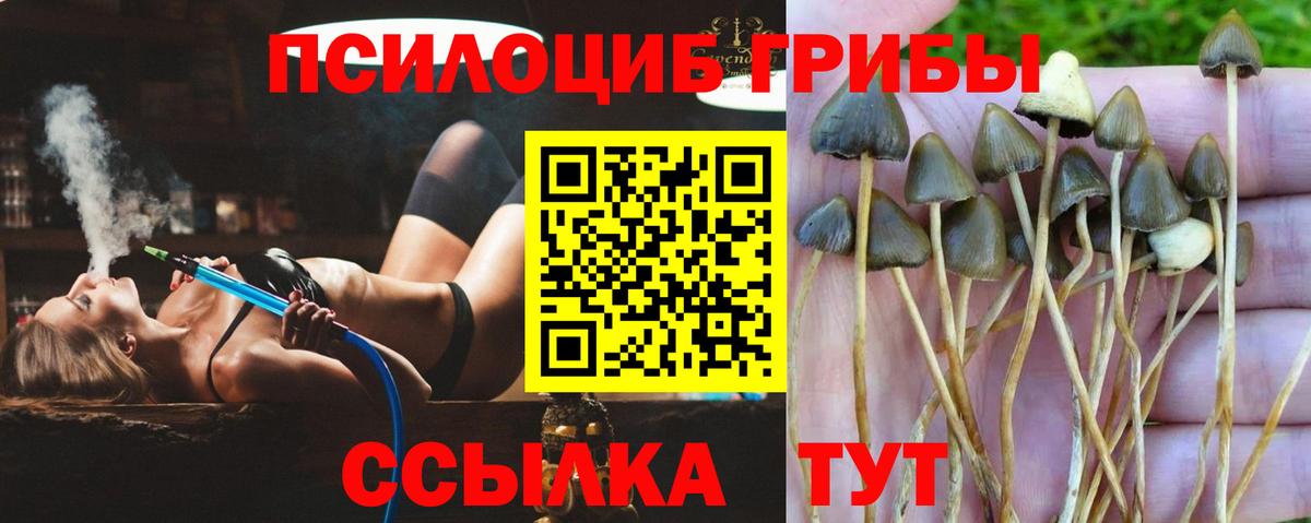 Псилоцибиновые грибы Magic Shrooms  Псилоцибиновые грибы MAGIC MUSHROOMS  Вход с VPN  Губкин 